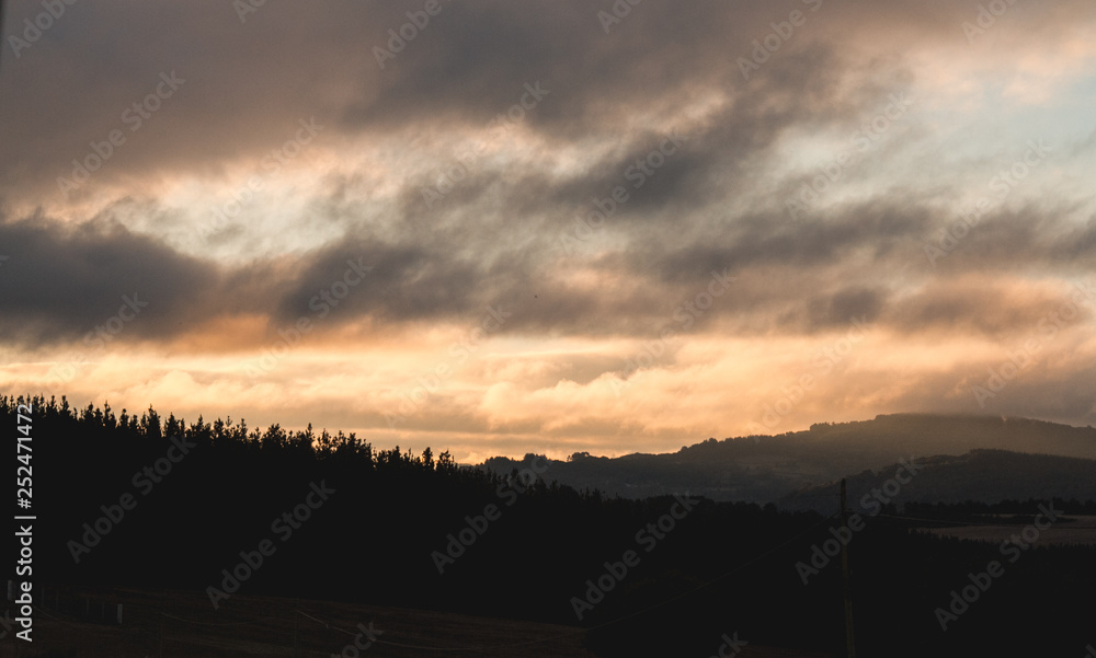 Woods landscape and wildlife north of Spain