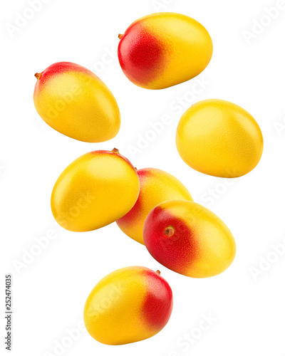 Falling mango isolated on white background, clipping path, full depth of field