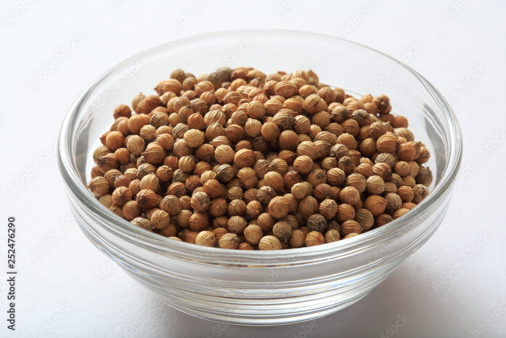 Coriander seed image Shot Coriander seed image Shot
