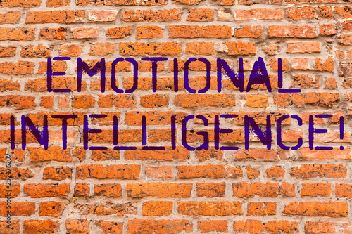 Conceptual hand writing showing Emotional Intelligence. Business photo showcasing Capacity to control and be aware of demonstratingal emotions Brick Wall art like Graffiti motivational written on wall