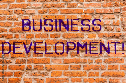 Conceptual hand writing showing Business Development. Business photo showcasing Develop and Implement Organization Growth Opportunities Brick Wall art like Graffiti motivational written on wall