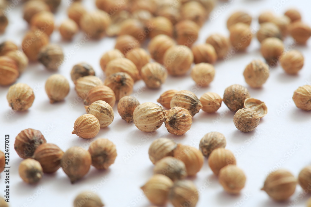 Coriander seed image Shot Coriander seed image Shot