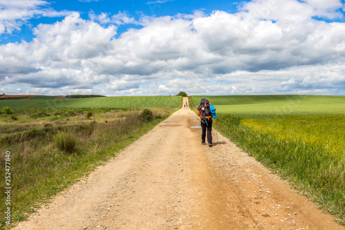 Rear view of a male pilgrim on an unpaved country road on the Way of St. James, Camino de Santiago between Ciruena and Santo Domingo de la Calzada in La Rioja, Spain under a beautiful May sky