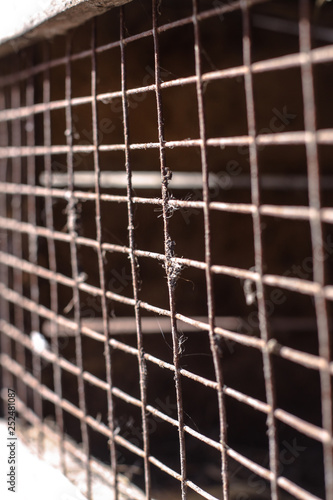 Metal mesh with rust. Grunge texture. Stock background, photo