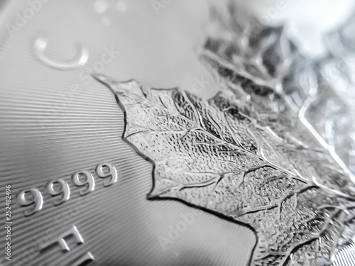 Macro Close up of a 999% Silver Canadian Maple Leaf Bullion Coin