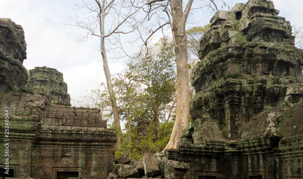 Bayon tree roots growing in Ta Prohm temple at Angkor Wat Siem Reap Cambodia Bayon tree roots growing in Ta Prohm temple at Angkor Wat Siem Reap Cambodia