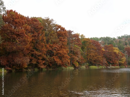 Close up of colorful trees at the bank of Mountain Fork River at Beavers Bend State Park, Oklahoma in autumn.
