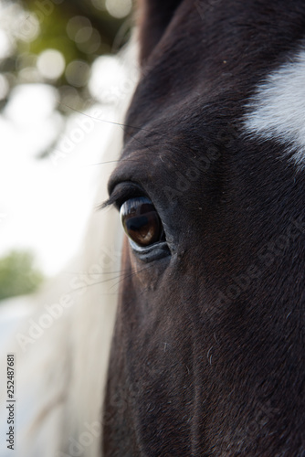 Foto Tinkerbells View