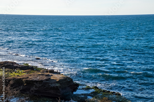 Overview of Pacific Ocean at La Jolla beach, where squadron of pelicans perch on a bluff