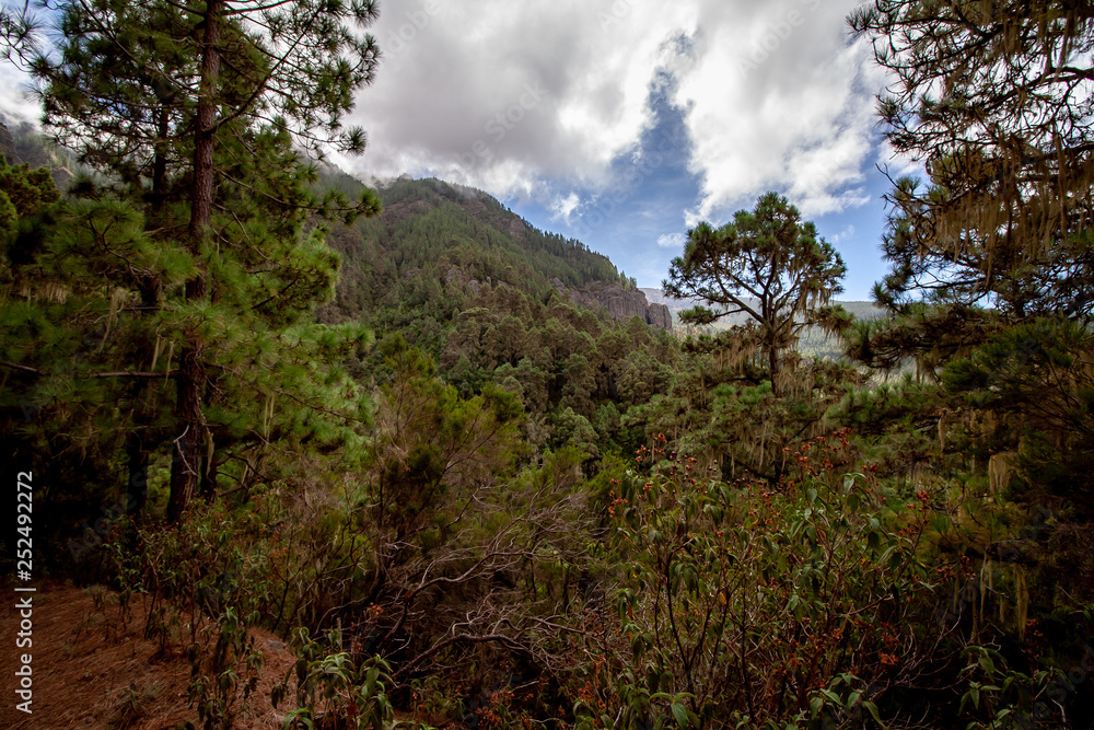 big view over a forest on rock formations