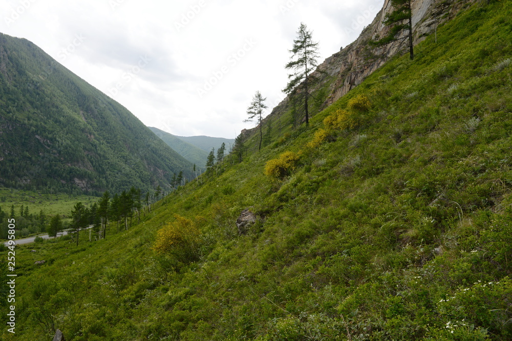 Mountain landscape by the river Chuya, Altai Republic, Siberia, Russia Mountain landscape by the river Chuya, Altai Republic, Siberia, Russia