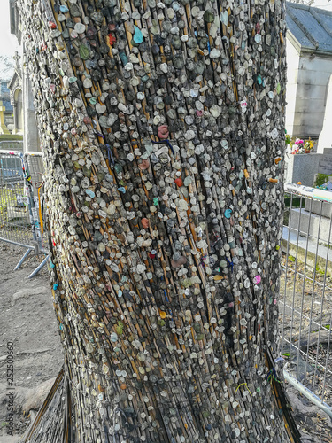Bilde på lerret The tradition of putting bubble gum and cigarette beatas on a tree near the Grav