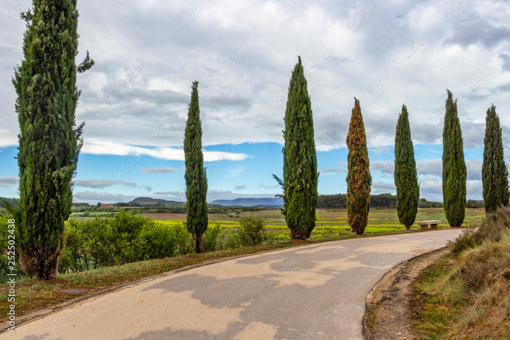 A paved path leading to Pantano de la Grajera or La Grajera Reservoir on the Way of St. James, Camino de Santiago near Logrono, La Rioja, Spain