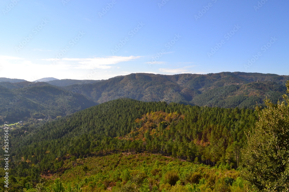 Fototapeta premium esterel