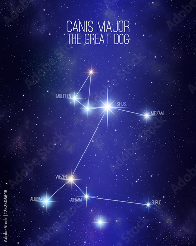 Canis Major the great dog constellation on a starry space background with the names of its main stars. Relative sizes and different color shades based on the spectral star type.