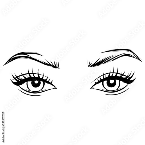 Vector Hand drawn beautiful female eyes with long black eyelashes and brows.