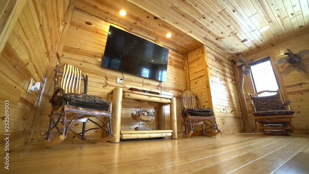 The television in the log house