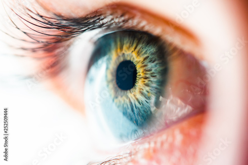 Human Eye Macro View photo