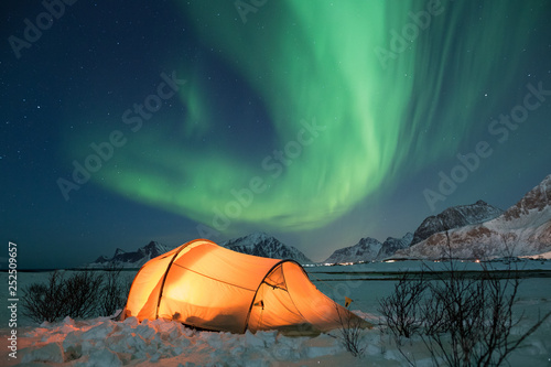 Illuminated tent under northern lights on Lofoten islands in winter