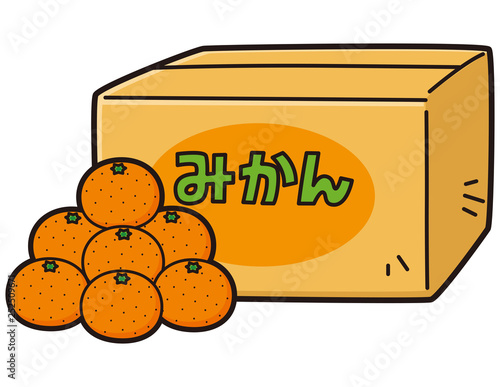 みかん　箱入り