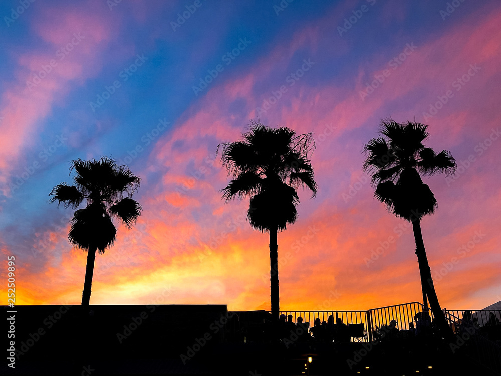 Palm Trees Sunset 1