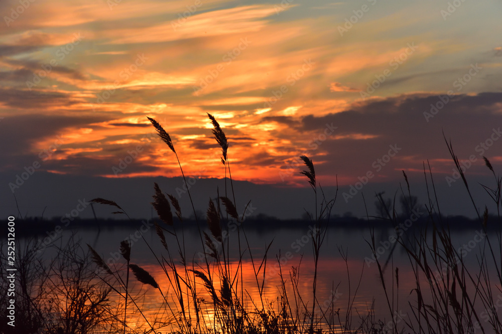 Grass on seashore during sunset with orange reflection on water