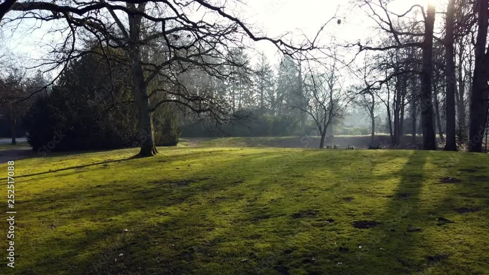 Tranquil morning scene in park Ohlsdorf, Hamburg, full HD video footage with pan left to right Tranquil morning scene in park Ohlsdorf, Hamburg, full HD video footage with pan left to right