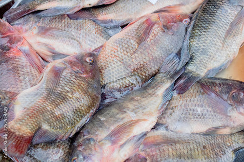 Pile of fresh tilapia fish wallpaper