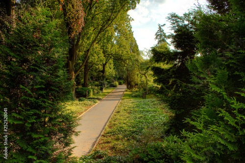 Radweg im Wald