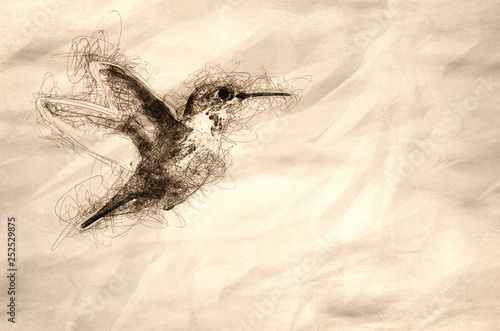 Sketch of an Adorable Little Rufous Hummingbird Hovering in Flight Deep in the Forest