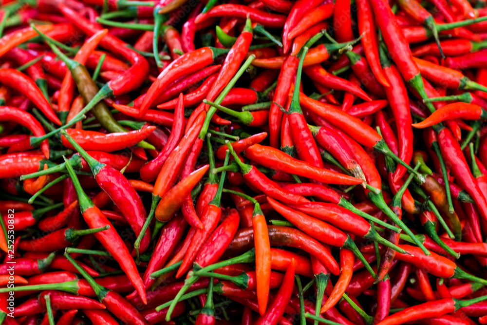 many red chili peppers many red chili peppers