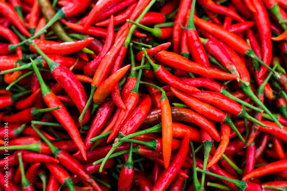 many red chili peppers