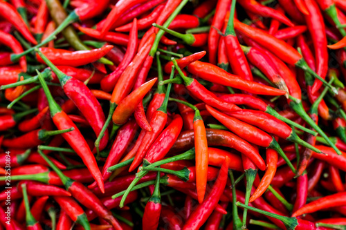 many red chili peppers