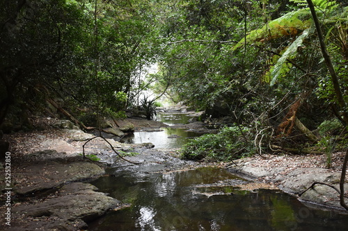 Moran’s Fall Creek