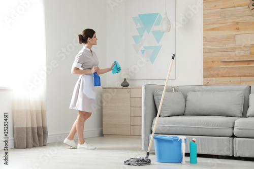 Young maid with rag and detergent in hotel room photo