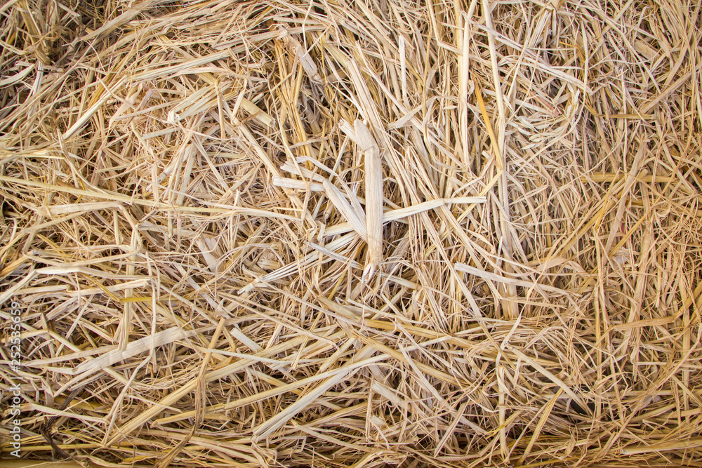 dried straw texture