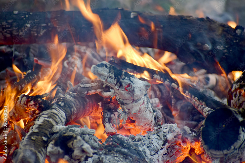 The fire is burning wood The fire is burning wood