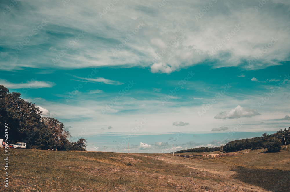 landscape of a field 