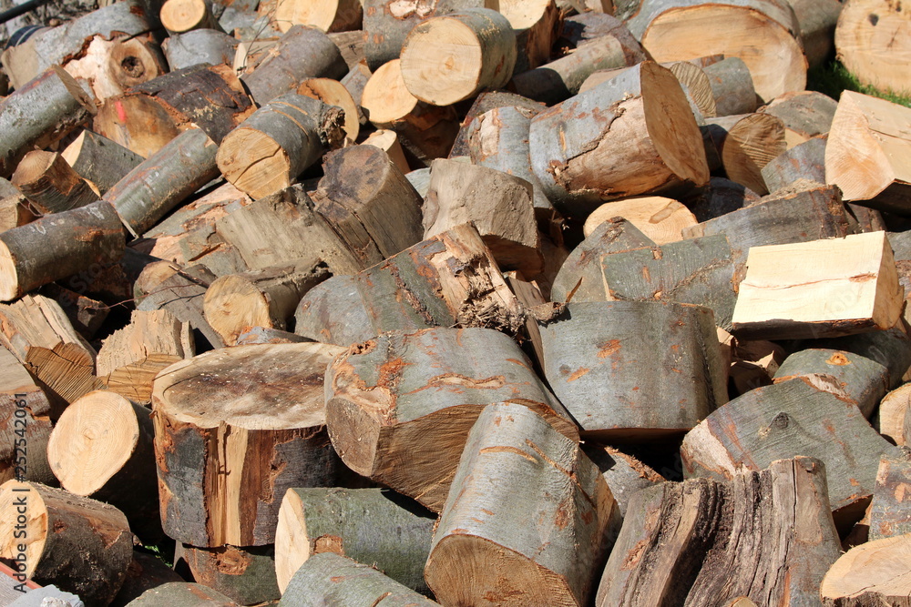 Pile of freshly cut firewood waiting for moving to storage area in preparation for cold winter day on warm sunny day Pile of freshly cut firewood waiting for moving to storage area in preparation for cold winter day on warm sunny day
