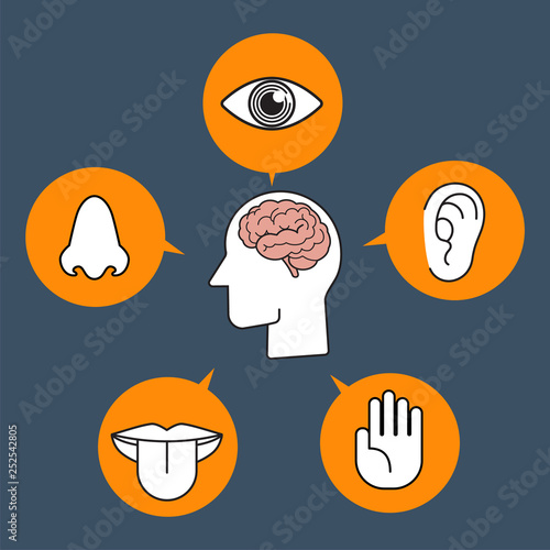 Colorful five human senses illustration presentation
