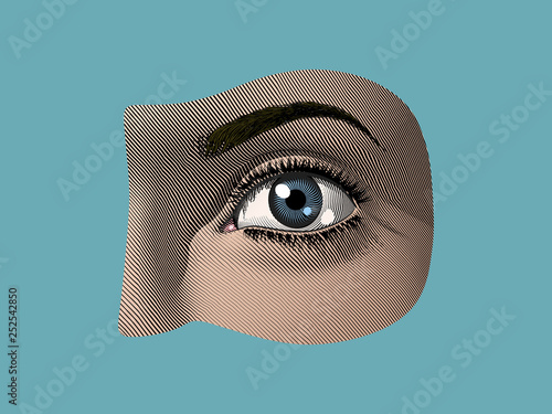 Human eye part color illustration vintage style