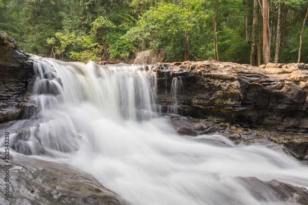 Fototapeta premium forest waterfall