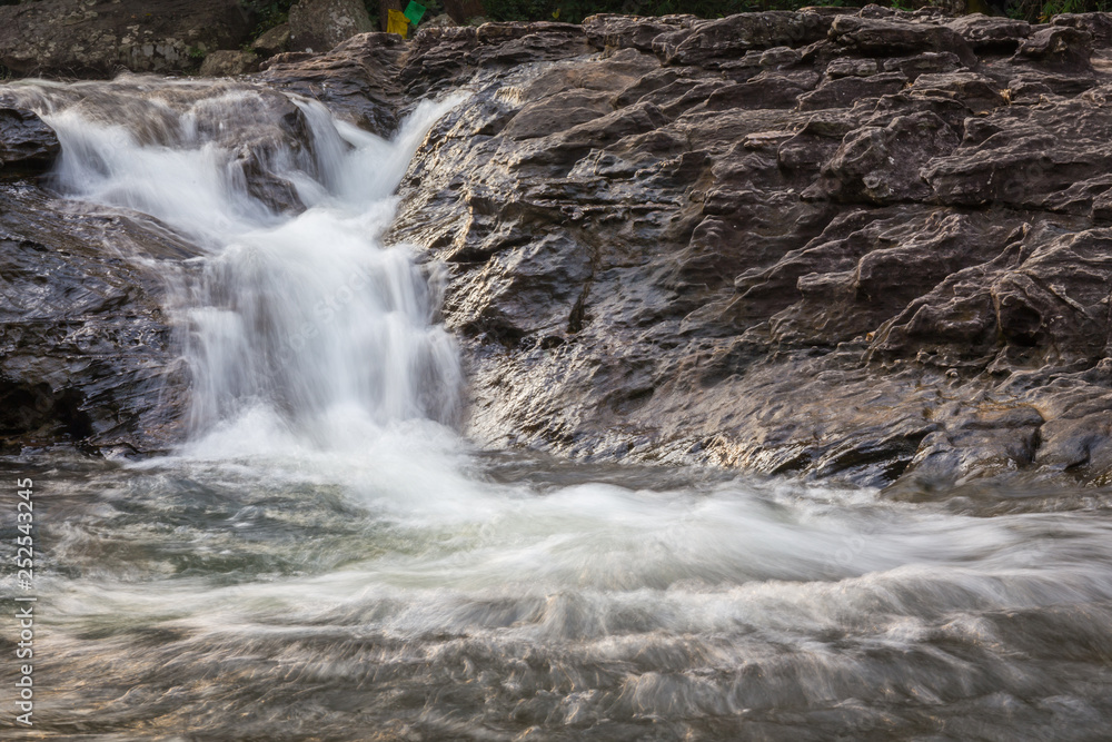 Obraz premium forest waterfall