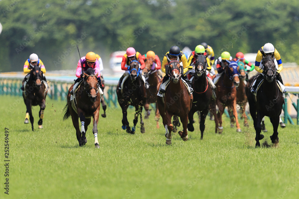 東京競馬場#2 東京競馬場#2
