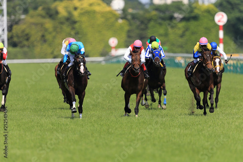 東京競馬場#3
