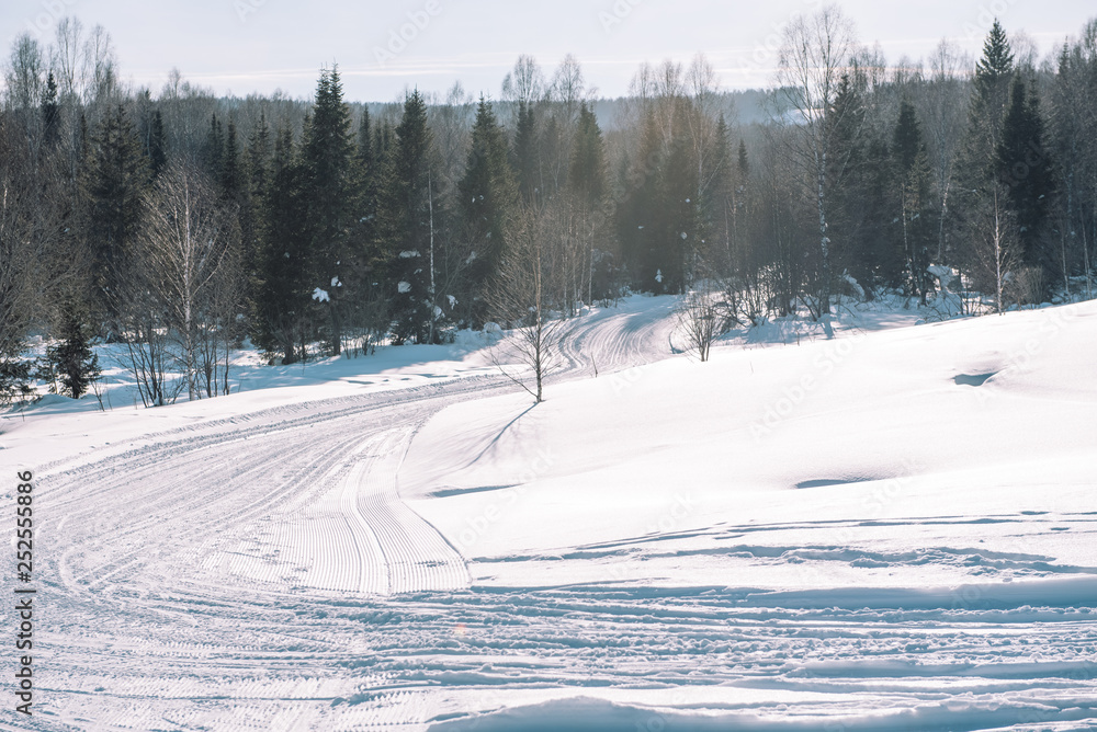 Fototapeta premium Ski trail in the forest. Traasa in the winter forest. The road for walking through the winter forest. Taiga in the winter. Tracks from the snowcat.