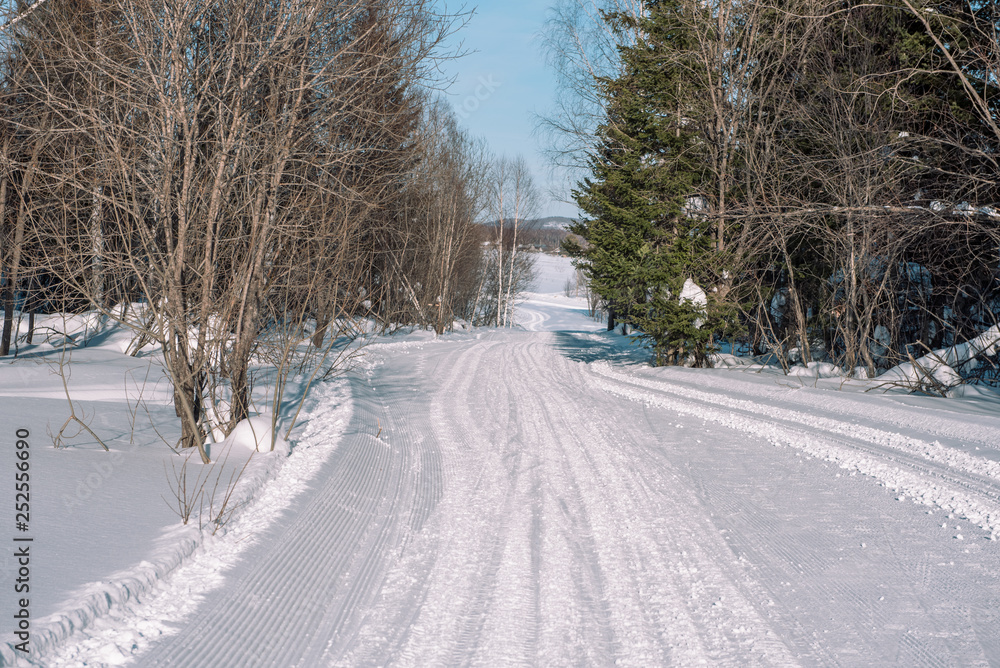 Ski trail in the forest. Traasa in the winter forest. The road for walking through the winter forest. Taiga in the winter. Tracks from the snowcat. Ski trail in the forest. Traasa in the winter forest. The road for walking through the winter forest. Taiga in the winter. Tracks from the snowcat.