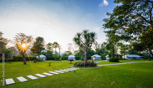Fototapeta Naklejka Na Ścianę i Meble -  the footpath on green lawns and tent in the garden