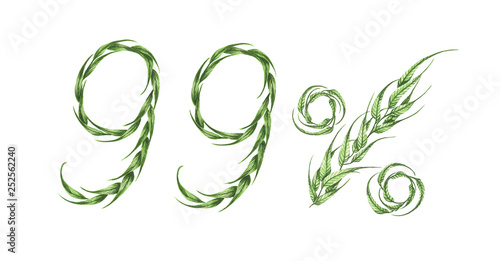 99% text, Ninety nine percent from green leaves, Green percent, isolated on white background. Watercolor illustration.