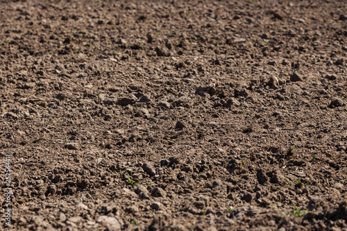 View of plowed agriculture field. Brown agricultural soil field. photo